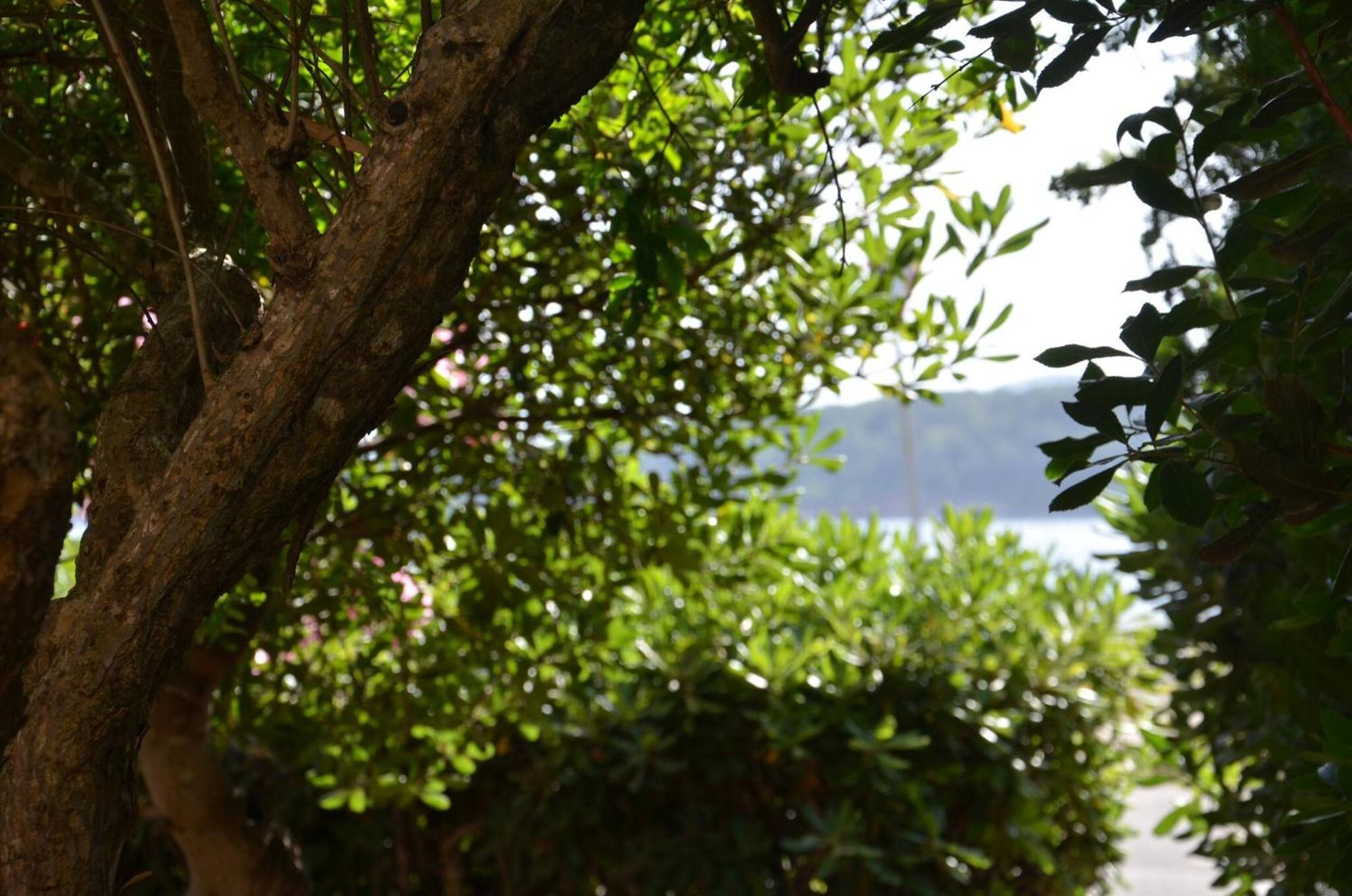 Fantastic Sardinia Villette Con Giardino Fronte Mare Fertilia Faho-Gav01-Gav02 Exterior photo