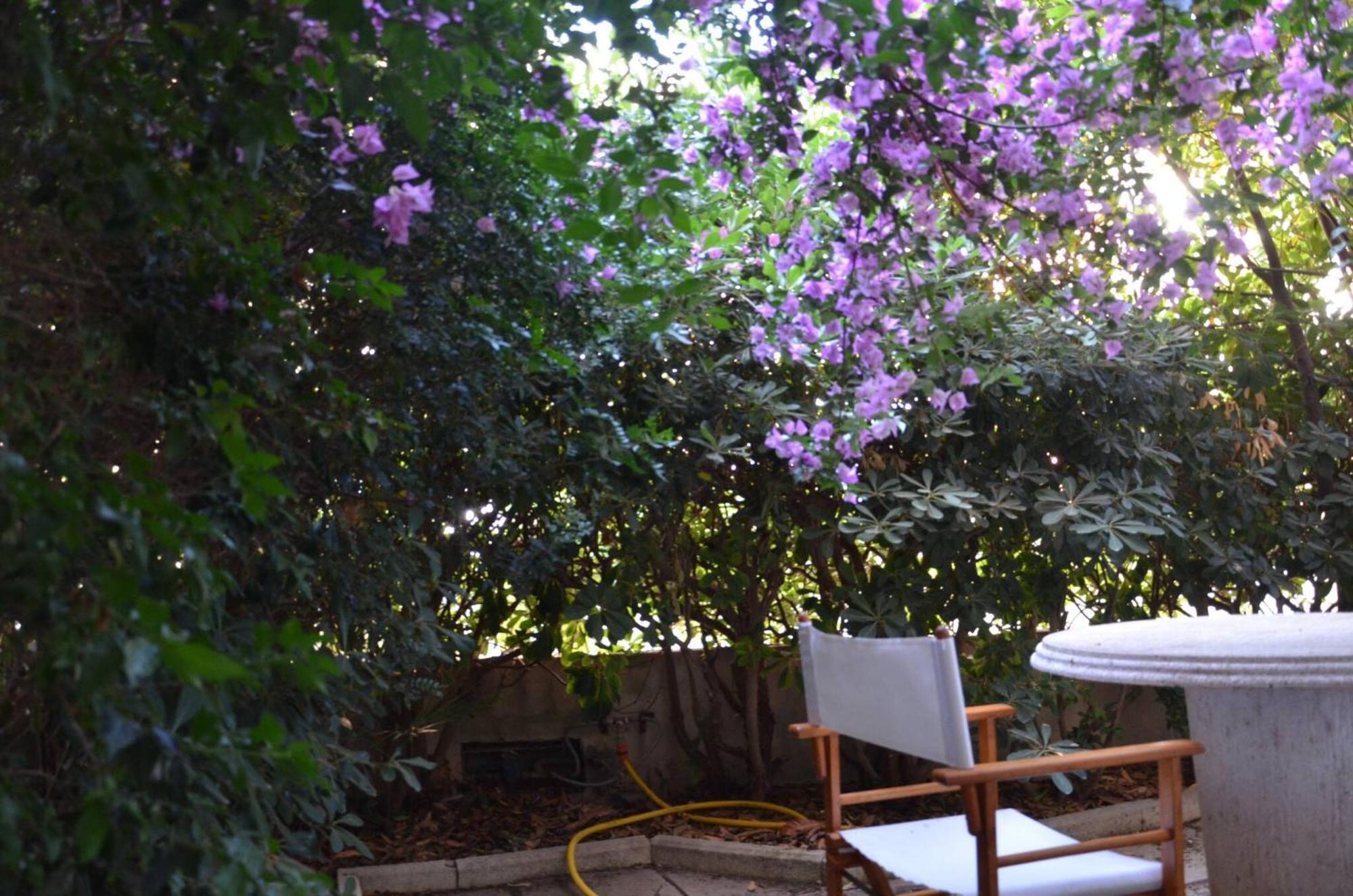 Fantastic Sardinia Villette Con Giardino Fronte Mare Fertilia Faho-Gav01-Gav02 Exterior photo
