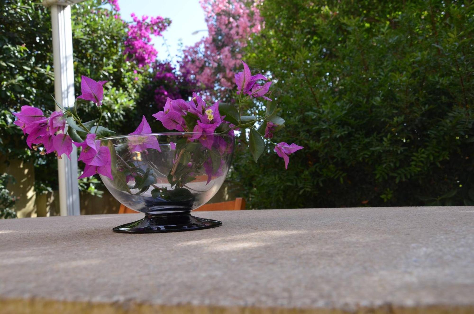 Fantastic Sardinia Villette Con Giardino Fronte Mare Fertilia Faho-Gav01-Gav02 Exterior photo