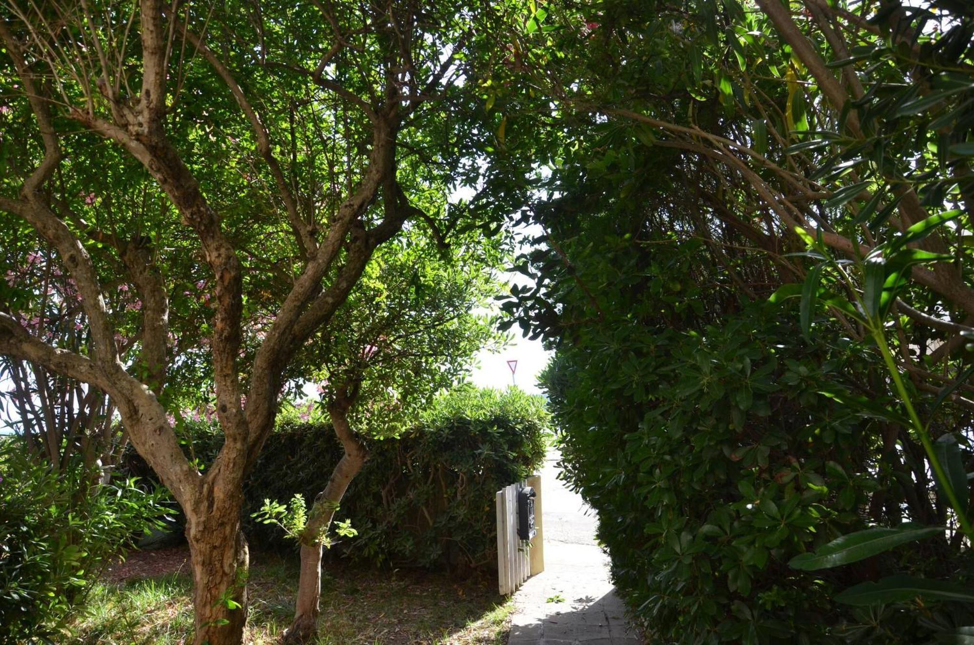 Fantastic Sardinia Villette Con Giardino Fronte Mare Fertilia Faho-Gav01-Gav02 Exterior photo