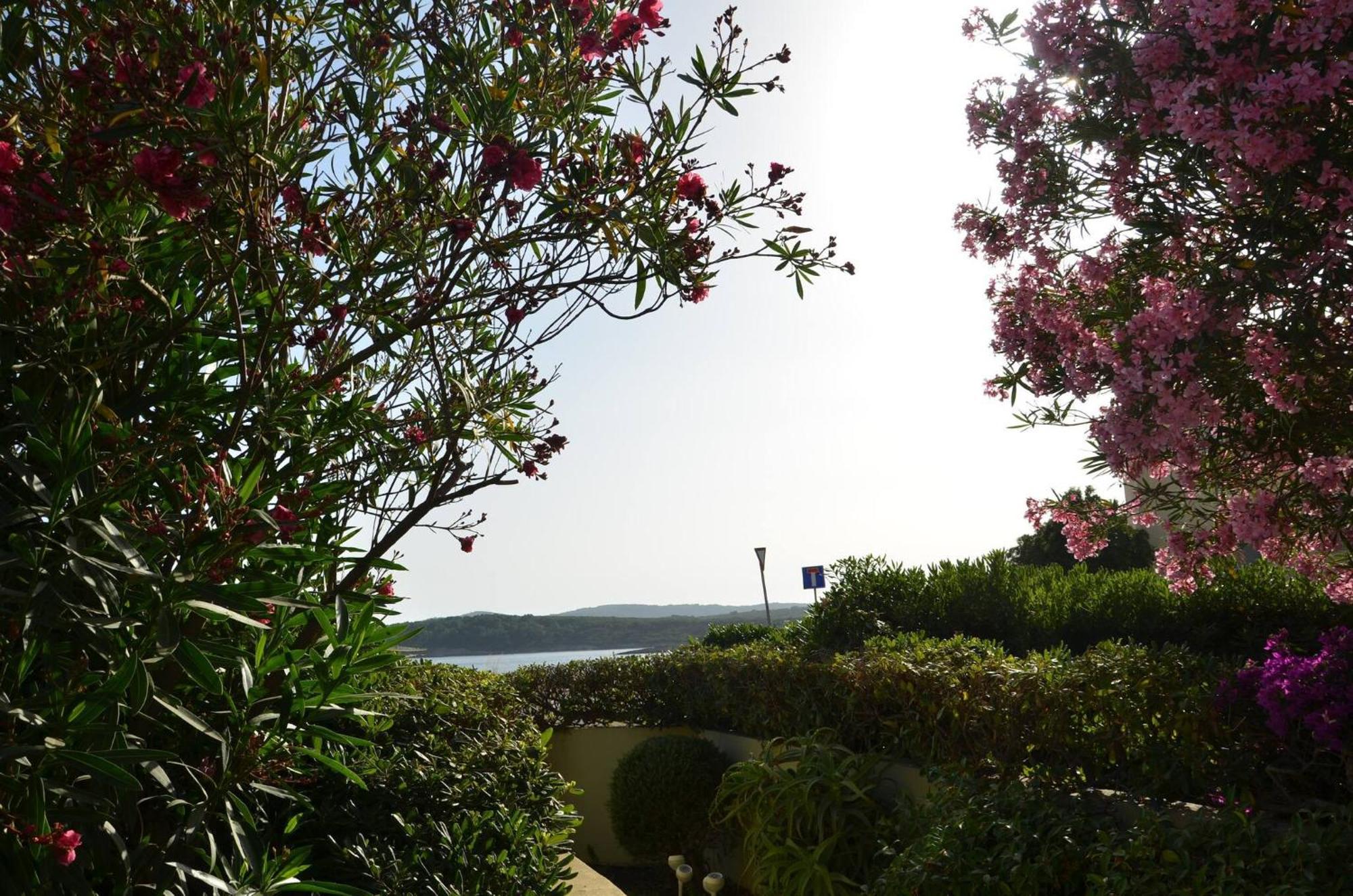 Fantastic Sardinia Villette Con Giardino Fronte Mare Fertilia Faho-Gav01-Gav02 Exterior photo